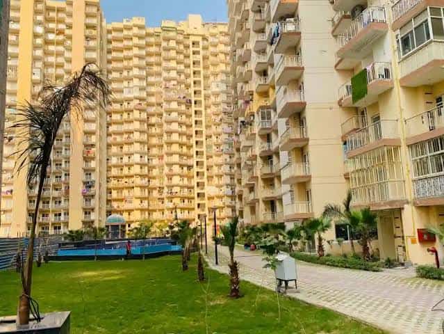 French Apartment Sector 16B Greater Noida